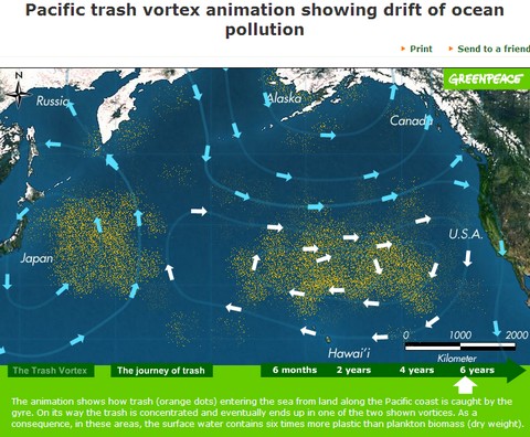 Plástico no Oceano Pacífico