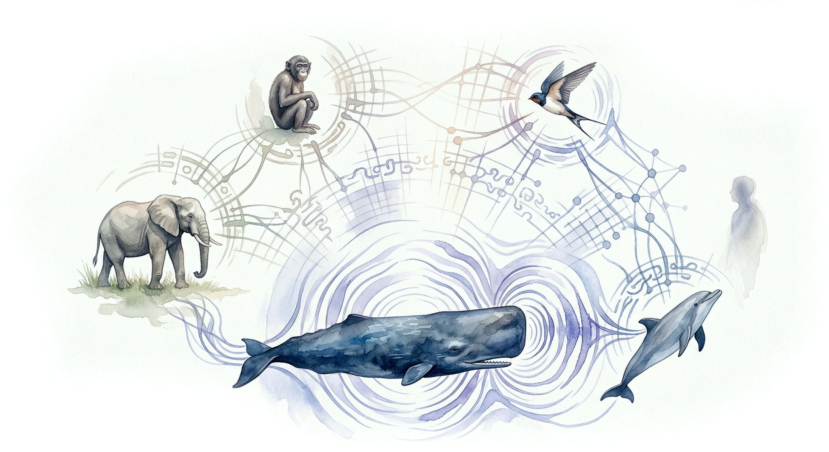 conversar com bichos