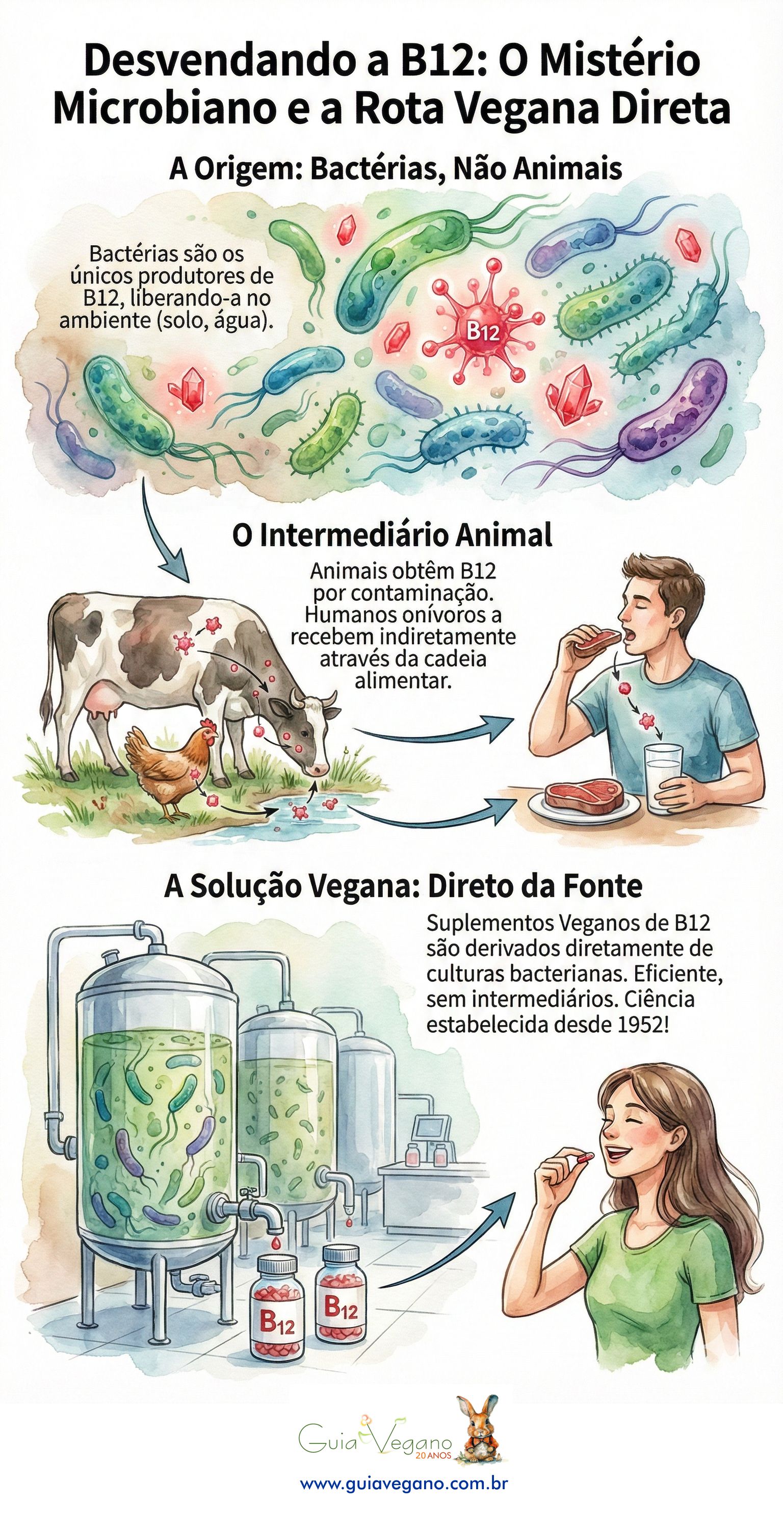 info grafico producao de b12