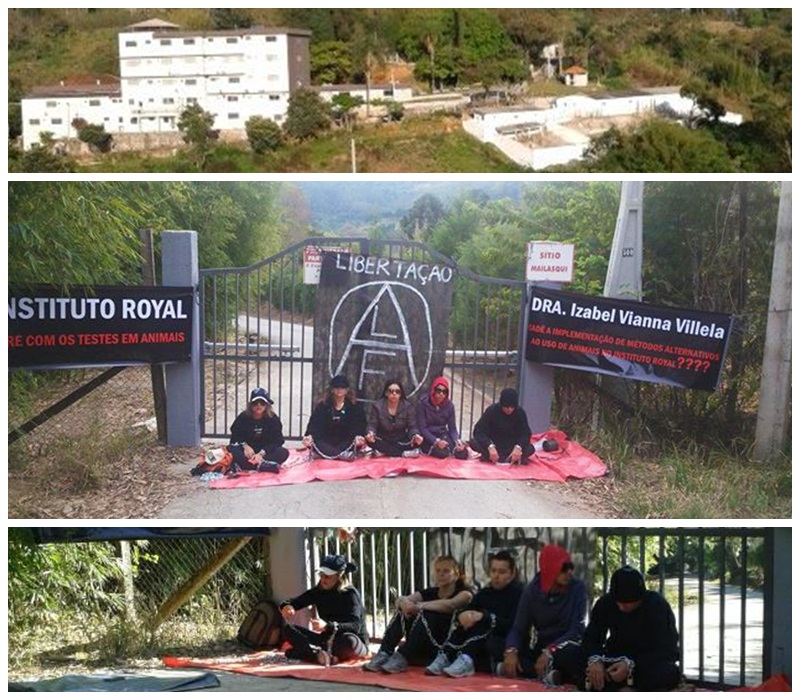 Ativistas se acorrentam em frente laboratório de testes em animais