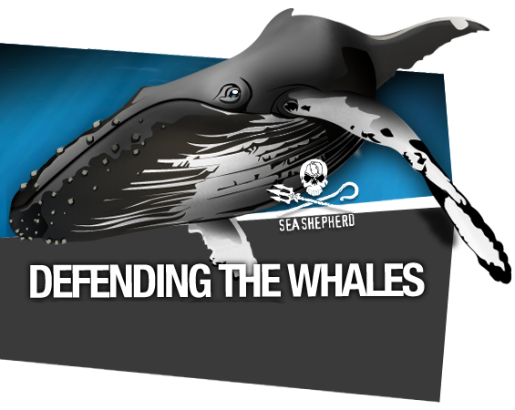 defend-the-oceans-backing