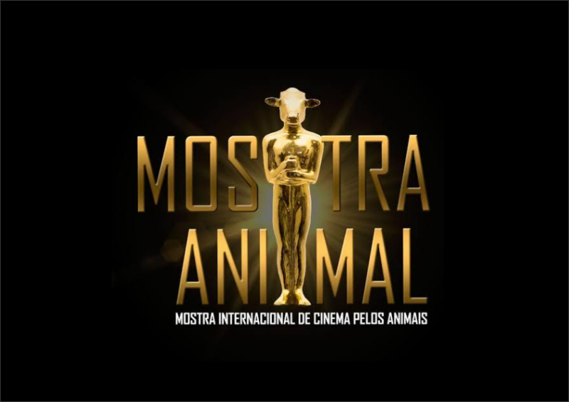 À Caça! Mostra Animal de Curitiba abre inscrições de filmes