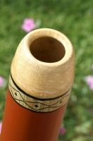 didgeridoo_vegano1