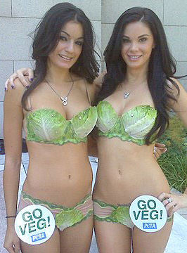 Modelos da "Playboy" aderem à campanha por vegetarianismo nos EUA
