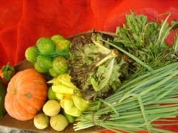 verduras_e_legumes